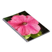 Impatiens Carnet rose foncé (Côté Droit)