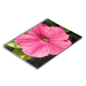 Impatiens Carnet rose foncé (Côté gauche)