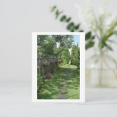 Impatiens Chemin Fleurs estivales Carte postale pe (Debout devant)