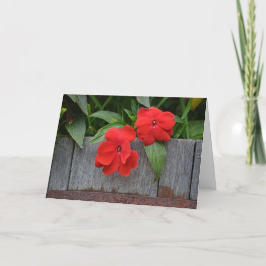 Impatiens Notecard Kaart (Voorkant)