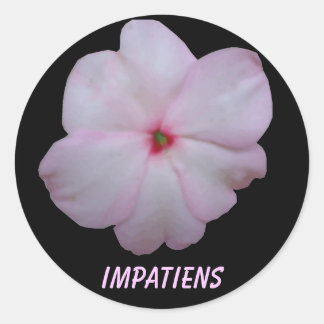 Impatiens  ticker ronde sticker