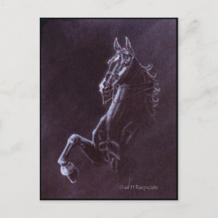 Imperator Briefkaart