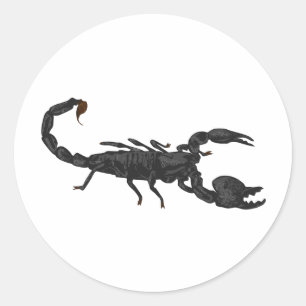 Imperial Black Scorpion Ronde Sticker