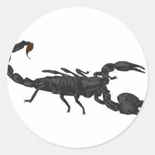 Imperial Black Scorpion Ronde Sticker