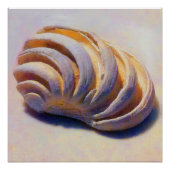 Imperial Venus Shell Perfect Poster (Voorkant)