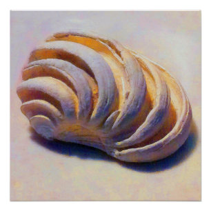 Imperial Venus Shell Perfect Poster