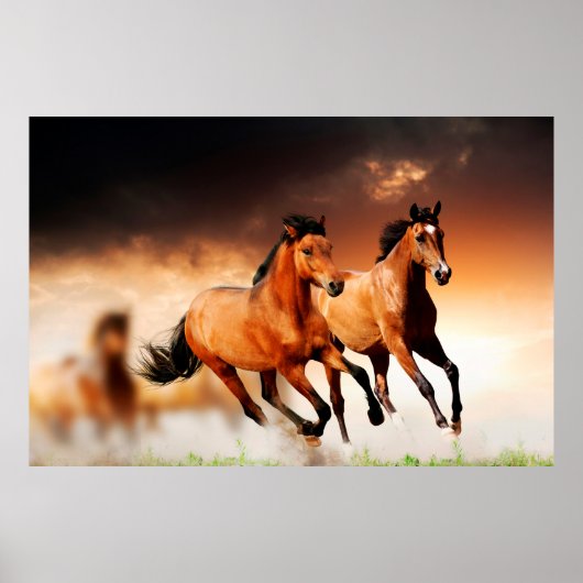 Imposing Wild Brown Horses Poster (Voorkant)