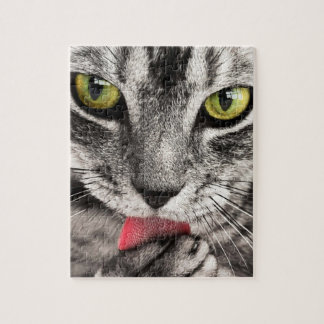Impossible Puzzle - chat rayé gris