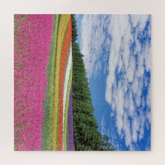 Impossible Puzzle - Flower Field (Horizontal)