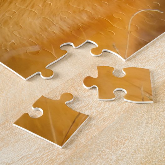 Impossible Puzzle - Fox (Côté)