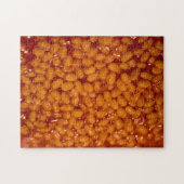 Impossipuzzel Legpuzzel (Horizontaal)