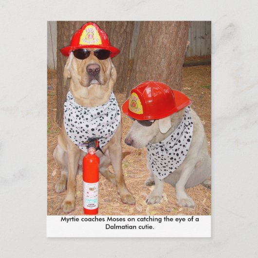 Imposter Briefkaart (Voorkant)