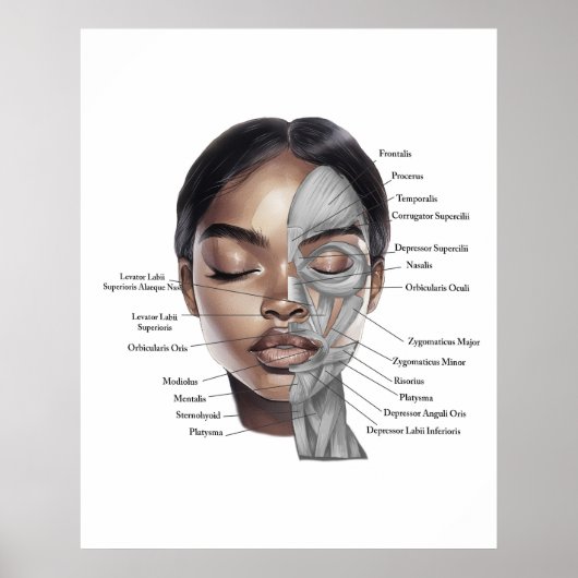 Impression 3 de visage d'anatomie (Devant)