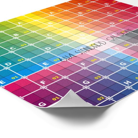 impression 6x4 (Coin)