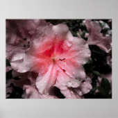 Impression à l'intérieur (Devant)