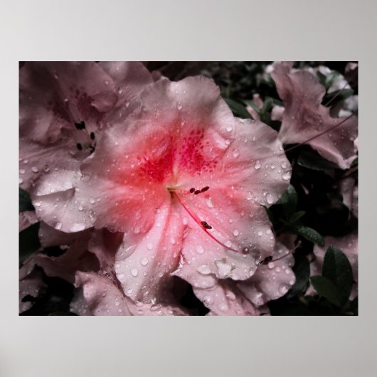 Impression à l'intérieur (Devant)