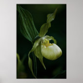 Impression à nappes jaunes (Devant)