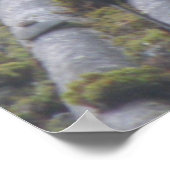 Impression à tarte (Coin)