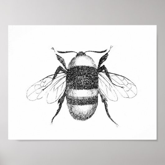 Impression abeille vintage (Devant)