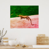 Impression acrylique du lézard de queue de curle c (Cuisine)