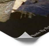 Impression "Air Dive" (Coin)