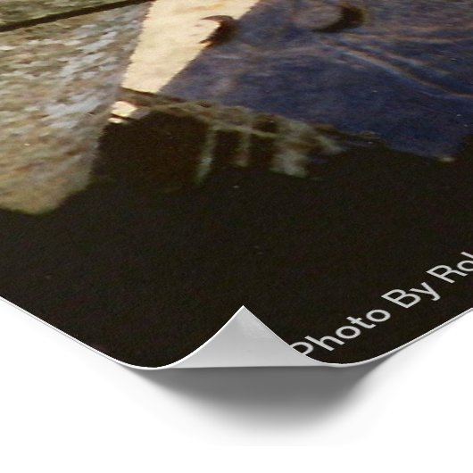 Impression "Air Dive" (Coin)