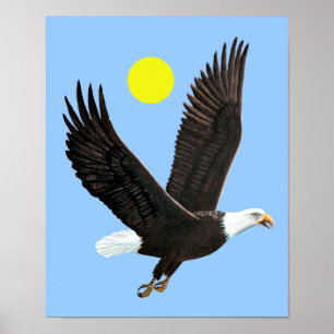 Impression American Bald Eagle