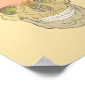 Impression anatomique du crâne humain gris (Coin)