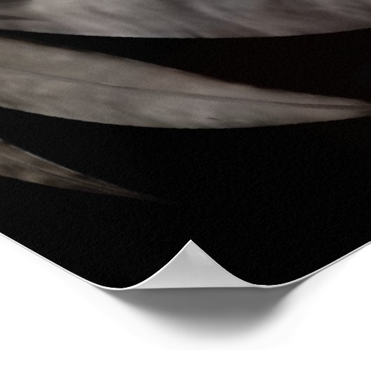 Impression 'Angel de plaie' (Coin)