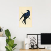 Impression antique d'un violet Martin (Bureau à domicile)