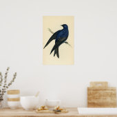 Impression antique d'un violet Martin (Cuisine)