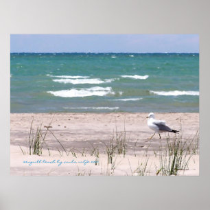 Impression aquarelle de la plage aux mouettes