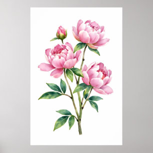 Impression aquarelle de pivoine rose botanique