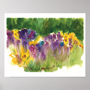 Impression aquarelle du jardin d'Iris - 11 x14