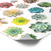 Impression arc-en-ciel (Coin)