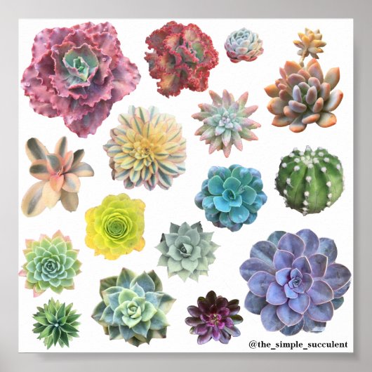 Impression arc-en-ciel (Devant)