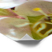 Impression archivistique 28x24 Abeille dans le qua (Coin)