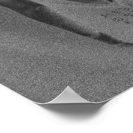 Impression arrière de libellule (Coin)