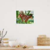 Impression Atlas Moth (Cuisine)