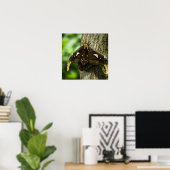 Impression Attacus Atlas (Bureau à domicile)