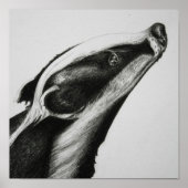 Impression Badger (Devant)