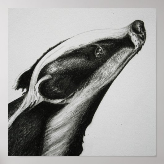 Impression Badger (Devant)