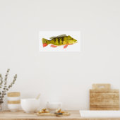 Impression basse Peacock (Cuisine)