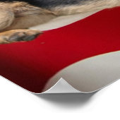 Impression berger allemande (Coin)