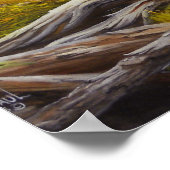 Impression Big Daddy Deer (Coin)