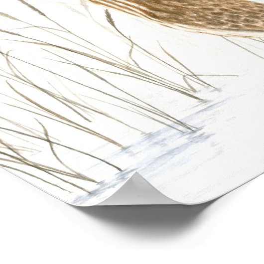 Impression Bitton Fine Art américaine (Coin)