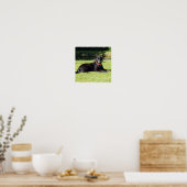 Impression Black Lab (Cuisine)