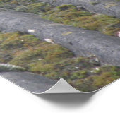 Impression Blackbird (Coin)