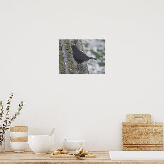 Impression Blackbird (Cuisine)