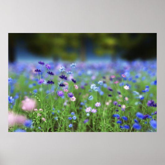 Impression Bleu Barbeau (Devant)
